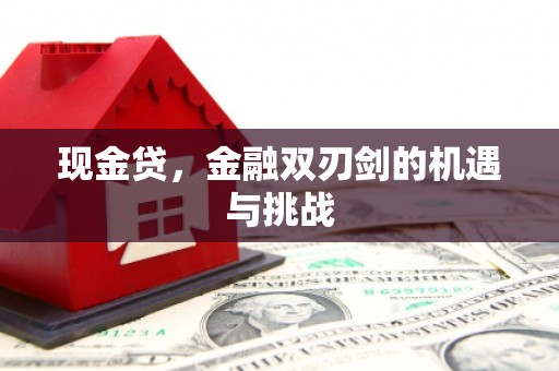 泸西现金贷，金融双刃剑的机遇与挑战