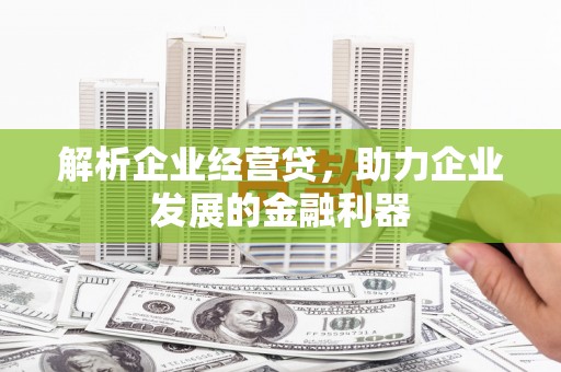 泸西解析企业经营贷，助力企业发展的金融利器
