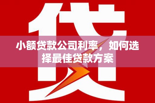 泸西小额贷款公司利率，如何选择最佳贷款方案