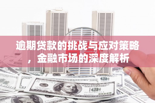 泸西逾期贷款的挑战与应对策略，金融市场的深度解析