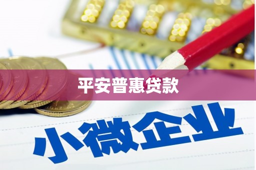 泸西平安普惠贷款