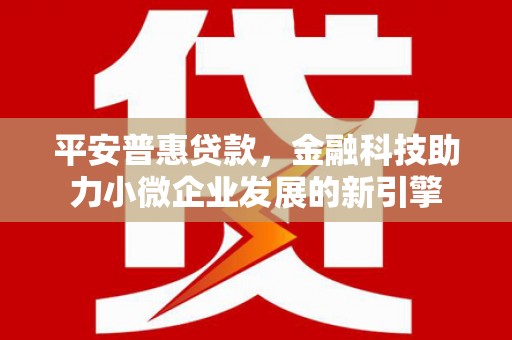 泸西平安普惠贷款，金融科技助力小微企业发展的新引擎