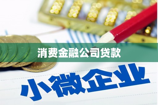 泸西消费金融公司贷款
