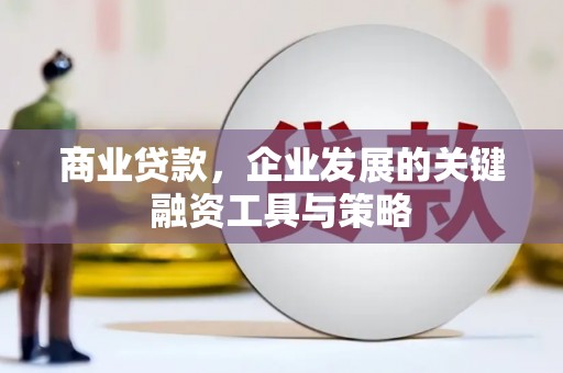 泸西商业贷款，企业发展的关键融资工具与策略