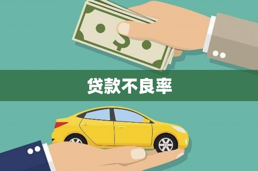 泸西贷款不良率