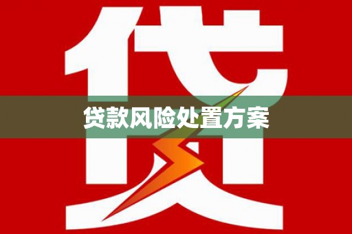 泸西贷款风险处置方案