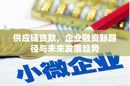 泸西供应链贷款，企业融资新路径与未来发展趋势