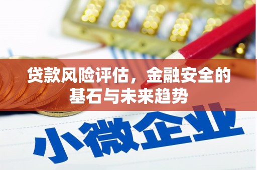 泸西贷款风险评估，金融安全的基石与未来趋势