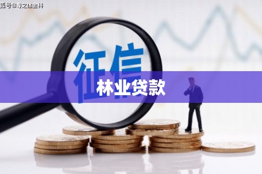 泸西林业贷款