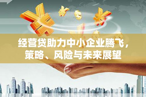 泸西经营贷助力中小企业腾飞，策略、风险与未来展望
