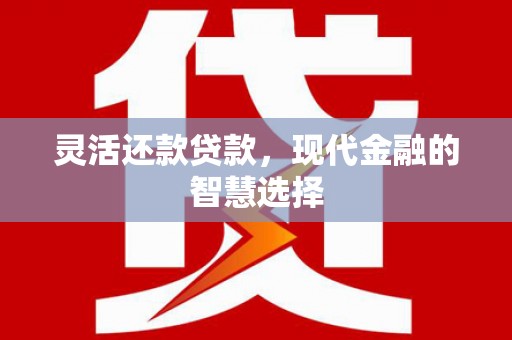 泸西灵活还款贷款，现代金融的智慧选择