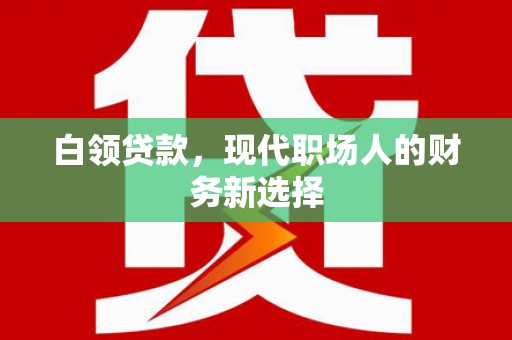 泸西白领贷款，现代职场人的财务新选择