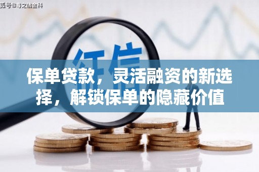 泸西保单贷款，灵活融资的新选择，解锁保单的隐藏价值