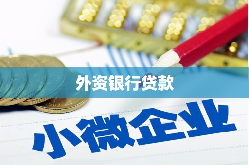 泸西外资银行贷款