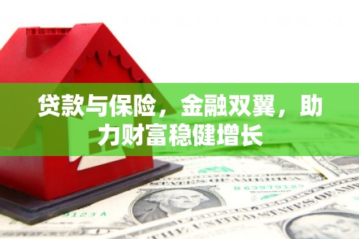 泸西贷款与保险，金融双翼，助力财富稳健增长