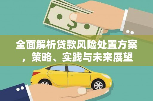 泸西全面解析贷款风险处置方案，策略、实践与未来展望