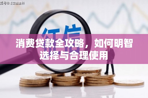 泸西消费贷款全攻略，如何明智选择与合理使用