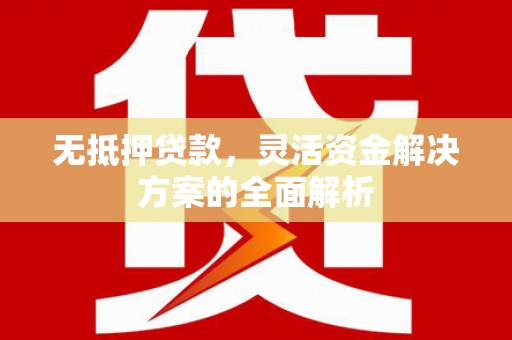 泸西无抵押贷款，灵活资金解决方案的全面解析