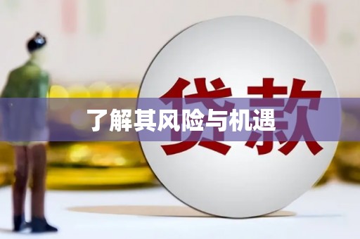 泸西了解其风险与机遇