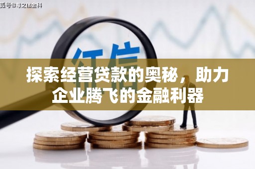 泸西探索经营贷款的奥秘，助力企业腾飞的金融利器