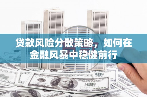 泸西贷款风险分散策略，如何在金融风暴中稳健前行