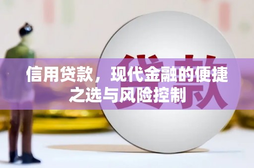 泸西信用贷款，现代金融的便捷之选与风险控制