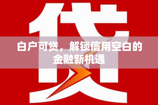 泸西白户可贷，解锁信用空白的金融新机遇