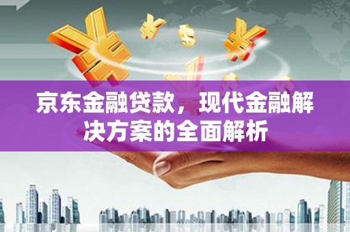 泸西京东金融贷款，现代金融解决方案的全面解析