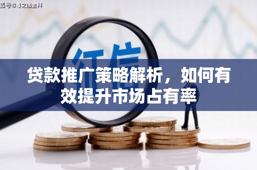 泸西贷款推广策略解析，如何有效提升市场占有率