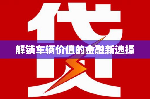 泸西解锁车辆价值的金融新选择