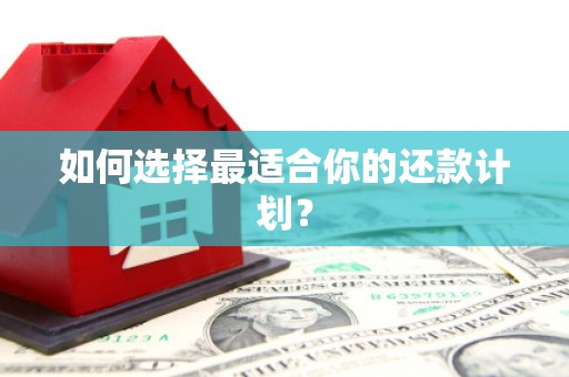 泸西如何选择最适合你的还款计划？