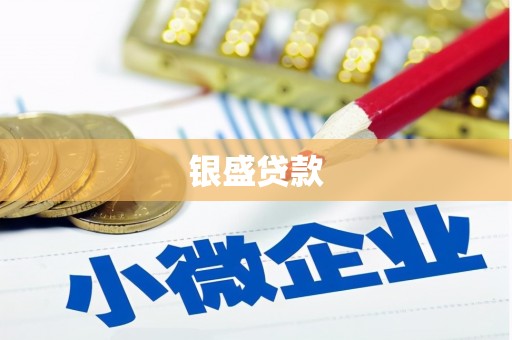 泸西银盛贷款