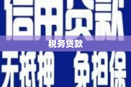 泸西税务贷款