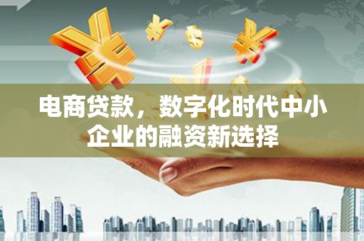 泸西电商贷款，数字化时代中小企业的融资新选择