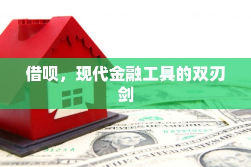 泸西借呗，现代金融工具的双刃剑