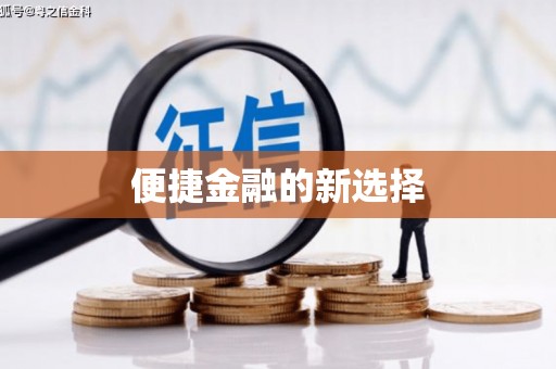 泸西便捷金融的新选择