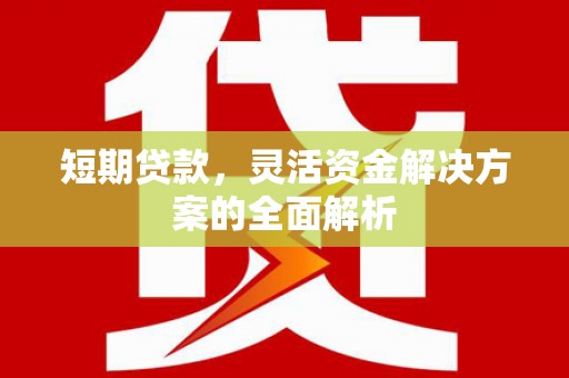 泸西短期贷款，灵活资金解决方案的全面解析