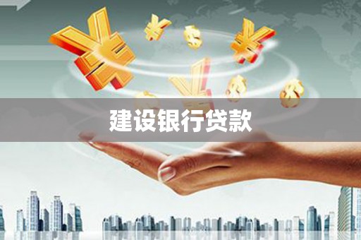 泸西建设银行贷款