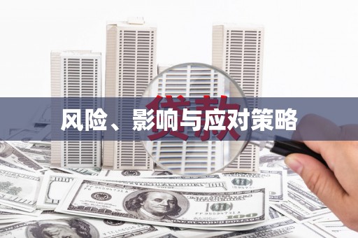 泸西风险、影响与应对策略
