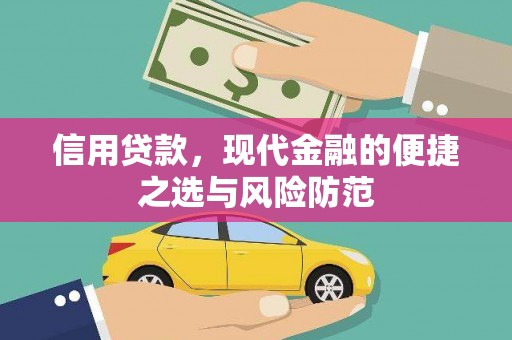 泸西信用贷款，现代金融的便捷之选与风险防范