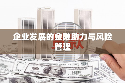 泸西企业发展的金融助力与风险管理