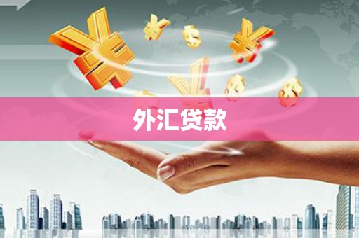 泸西外汇贷款
