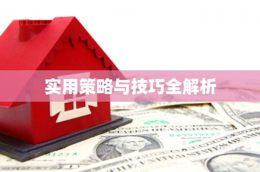泸西实用策略与技巧全解析