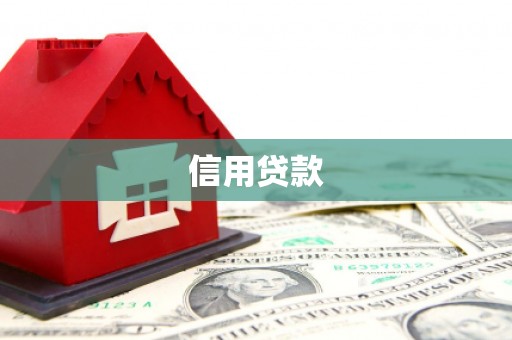 泸西信用贷款