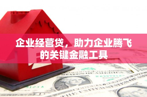 泸西企业经营贷，助力企业腾飞的关键金融工具