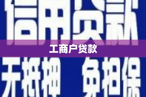 泸西工商户贷款