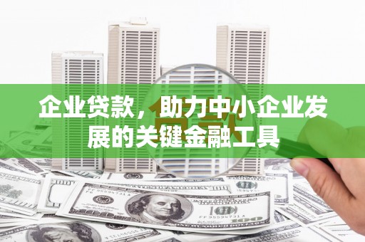 泸西企业贷款，助力中小企业发展的关键金融工具