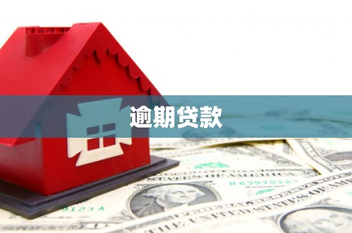泸西逾期贷款