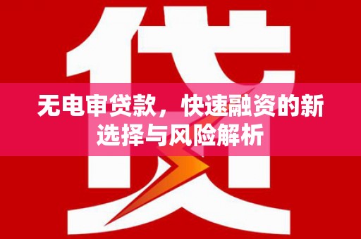 泸西无电审贷款，快速融资的新选择与风险解析