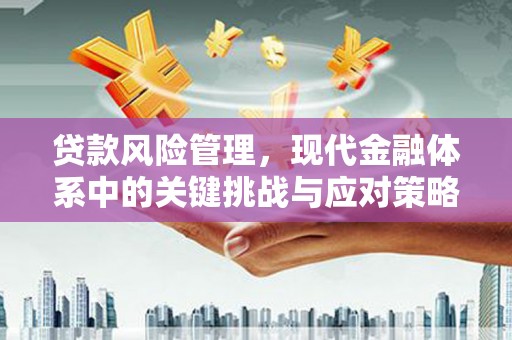 泸西贷款风险管理，现代金融体系中的关键挑战与应对策略
